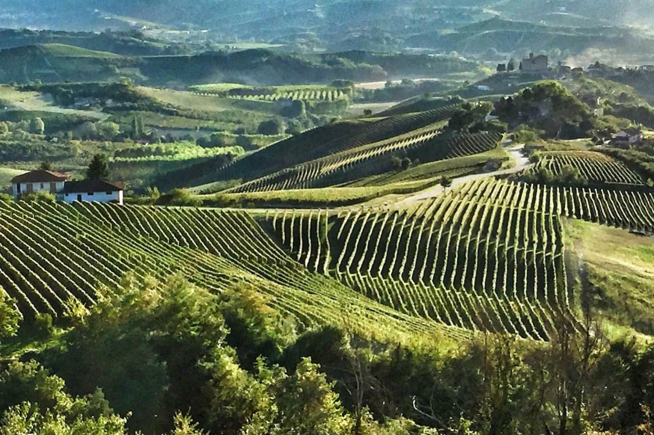 Casa Dei Nonni #Charminglanga Villa Grinzane Cavour Ngoại thất bức ảnh